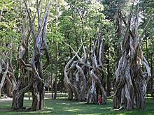 Старинная усадьба станет центром восстановления детей