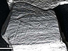 В Германии обнаружили 15800-летний наскальный рисунок рыбной ловли