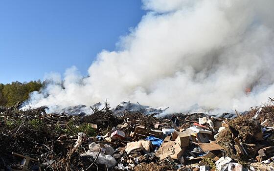 В Ермишинском районе загорелась свалка