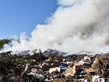 В Ермишинском районе загорелась свалка