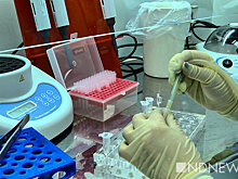 Комиссия немецких спортсменов: мы шокированы неуважением со стороны ВАДА