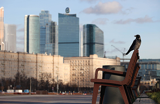 В Москве и «Сириусе» могут ввести платные зоны для автомобилей