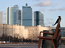 В Москве и «Сириусе» могут ввести платные зоны для автомобилей