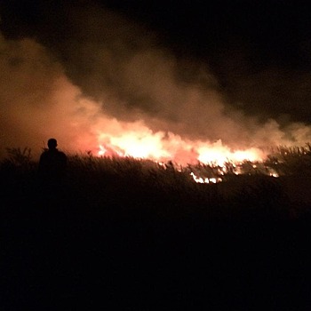 Опубликовано видео крупного природного пожара в Новороссийске
