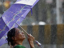 Science (США): cпорная российская теория утверждает, что леса создают не только дождь, но и ветер