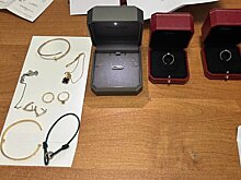 В Татарстане будут судить женщину за контрабанду Cartier