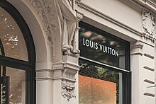 Владелец Louis Vuitton испугался летать на частном самолете