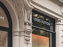 Владелец Louis Vuitton испугался летать на частном самолете