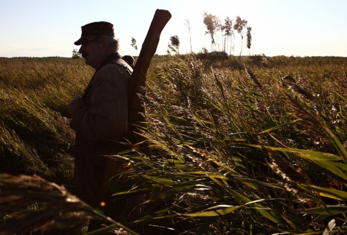 Омским охотникам увеличили норму добычи кабана — под отстрел пойдут почти 300 животных