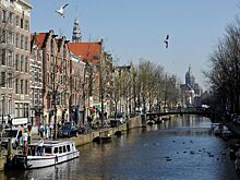 Амстердам решил избавиться от имиджа города грехов. И для этого собирается строить «мегабордель»