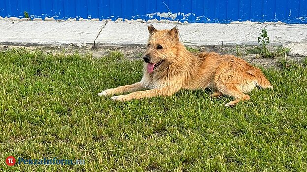 Эксперт сделал прогноз курса доллара и евро в июле