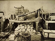 Проклятие фараона: история расхитителей древнеегипетских гробниц