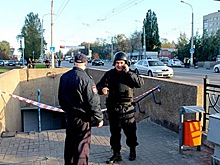 Белгородская полиция обнаружила котят вместо бомбы