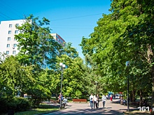 Культовые места Ростова: Кушнарёв и мясоеды с улицы Пушкина