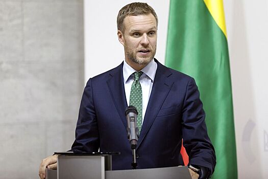 Экс-глава МИД Литвы резко ответил Меркель на слова о виновниках СВО