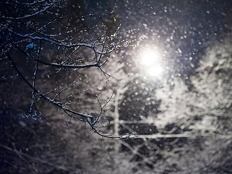 Первый снег выпал в Москве