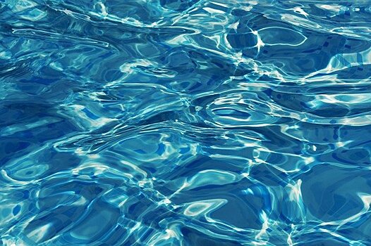 Воспитанники «Москвича» стали призерами столичного первенства по плаванию