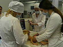 Сенаторы подготовили законопроект об отмене бакалавриата для врачей