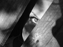 Вы мне ничего не сделаете! У меня справка из психбольницы!