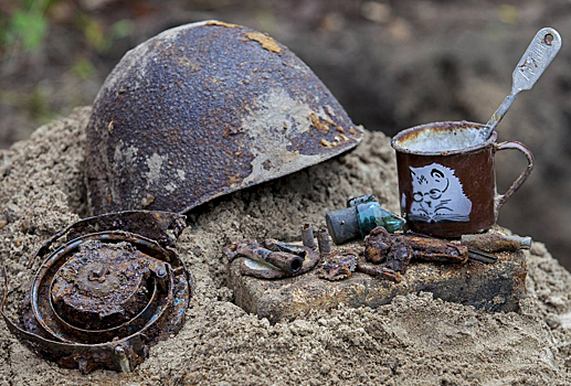 В Подмосковье наградили участников увековечивания памяти погибших защитников Отечества