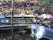 В американском лесу обнаружено огромное автомобильное кладбище