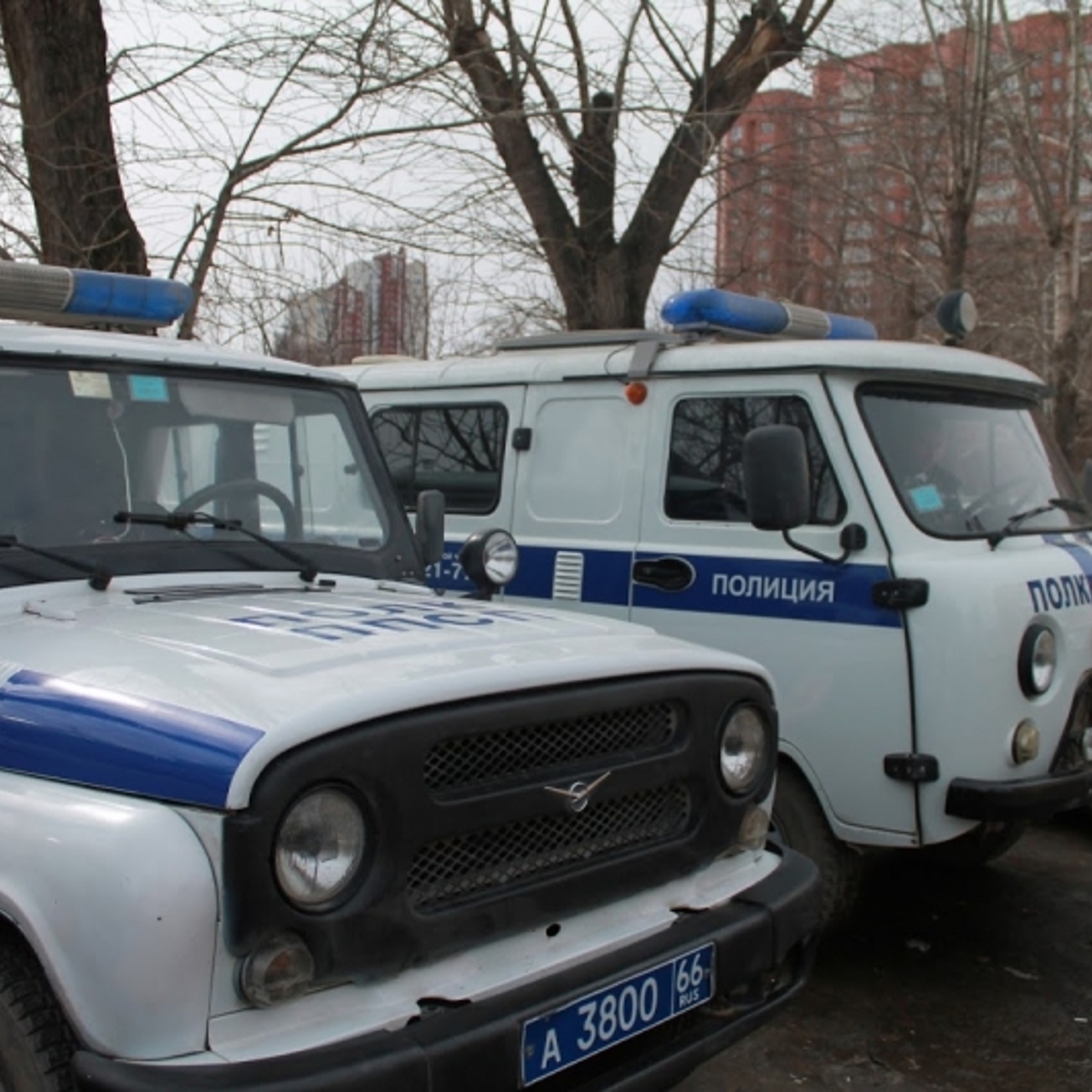 На Урале полицейские насильно затолкали в автозак женщину с грудным ребенко  - Рамблер/новости