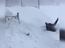 В Николаевске-на-Амуре выпало рекордное количество снега. Видео