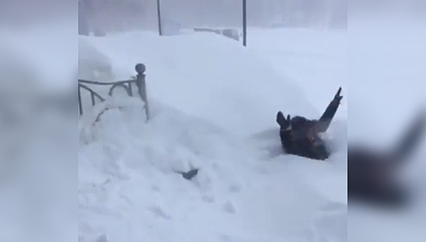 В Николаевске-на-Амуре выпало рекордное количество снега. Видео