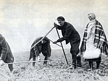 Крестьяне ждут окончательного раздела земли