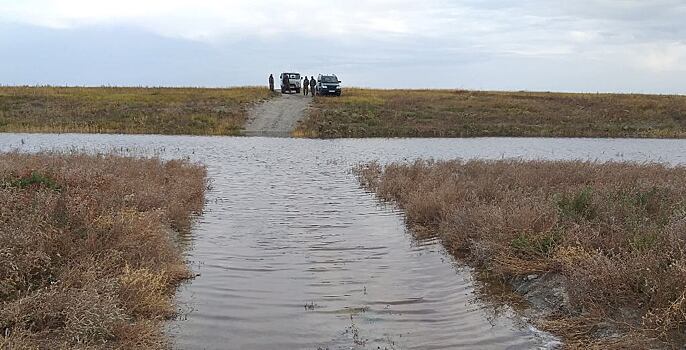 Торейские озера: хрупкая сила жизни