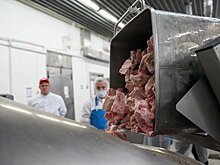 Подмосковье стало лидером по экспорту мясной продукции за первые полгода 2022 года