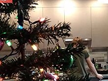 «Из Украины в Россию»: новогодние хлопоты в семье Пикты