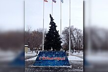 В Саратове появилась «пьяная» елка