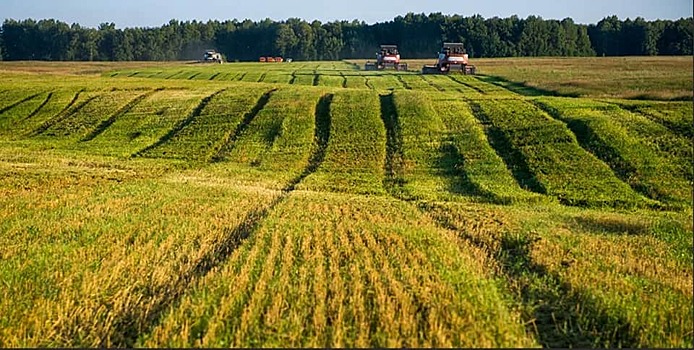 Названы крупнейшие владельцы земель сельскохозяйственного назначения в России