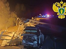 Три человека погибли в результате обрушения моста в Брянской области