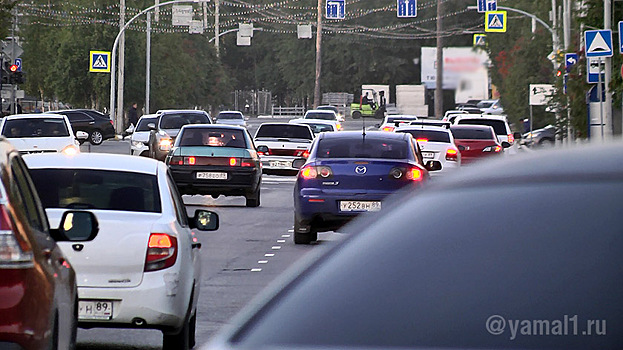 Ямальский депутат предложил легализовать продажу «красивых» номеров