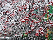 Синоптики рассказали, каким будет ноябрь в Нижегородской области