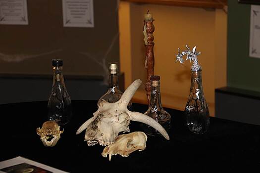 В Краснодаре пройдет выставка американского художника Эдварда Аллэна в редкой технике стерео-варио