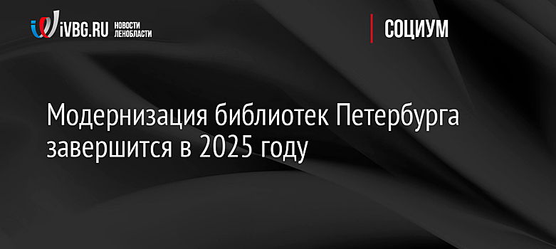 Модернизация библиотек Петербурга завершится в 2025 году