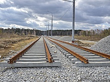 Два лесопарка в Екатеринбурге урежут ради трамвайной ветки в Новокольцовский
