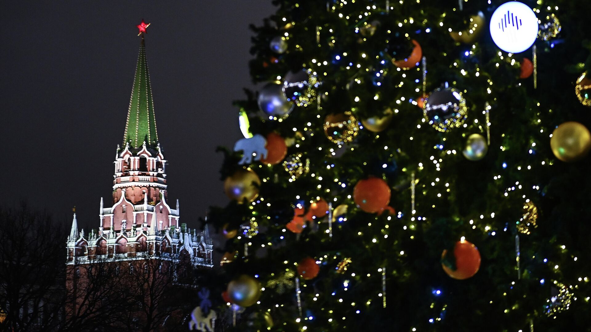 Главную новогоднюю елку России доставили в Кремль
