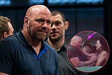 Дана Уайт подрался с женой, видео конфликта, объяснения, президент UFC