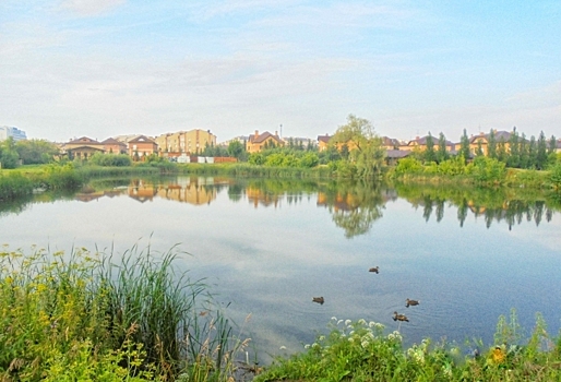 Повторные слушания по омскому дендросаду пройдут в октябре — ответственной за организацию сделали мэрию