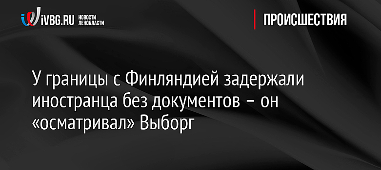 У границы с Финляндией задержали иностранца без документов – он «осматривал» Выборг