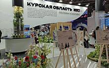 На майских праздниках будет завершено обновление экспозиции Курской области на выставке на ВДНХ