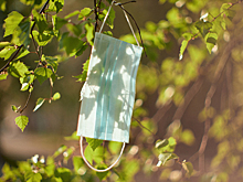 Власти Кипра с 1 июня отменят некоторые коронавирусные ограничения для туристов