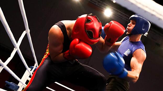 В Вологде выбирают боксеров, которые будут защищать честь города на областных соревнованиях