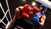 В Вологде выбирают боксеров, которые будут защищать честь города на областных соревнованиях