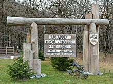 Желающих посетить ущелья и дольмены Сочи стало больше на 30%