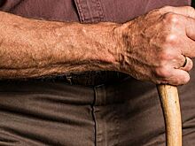 Грузовик насмерть задавил пенсионера в Ростове